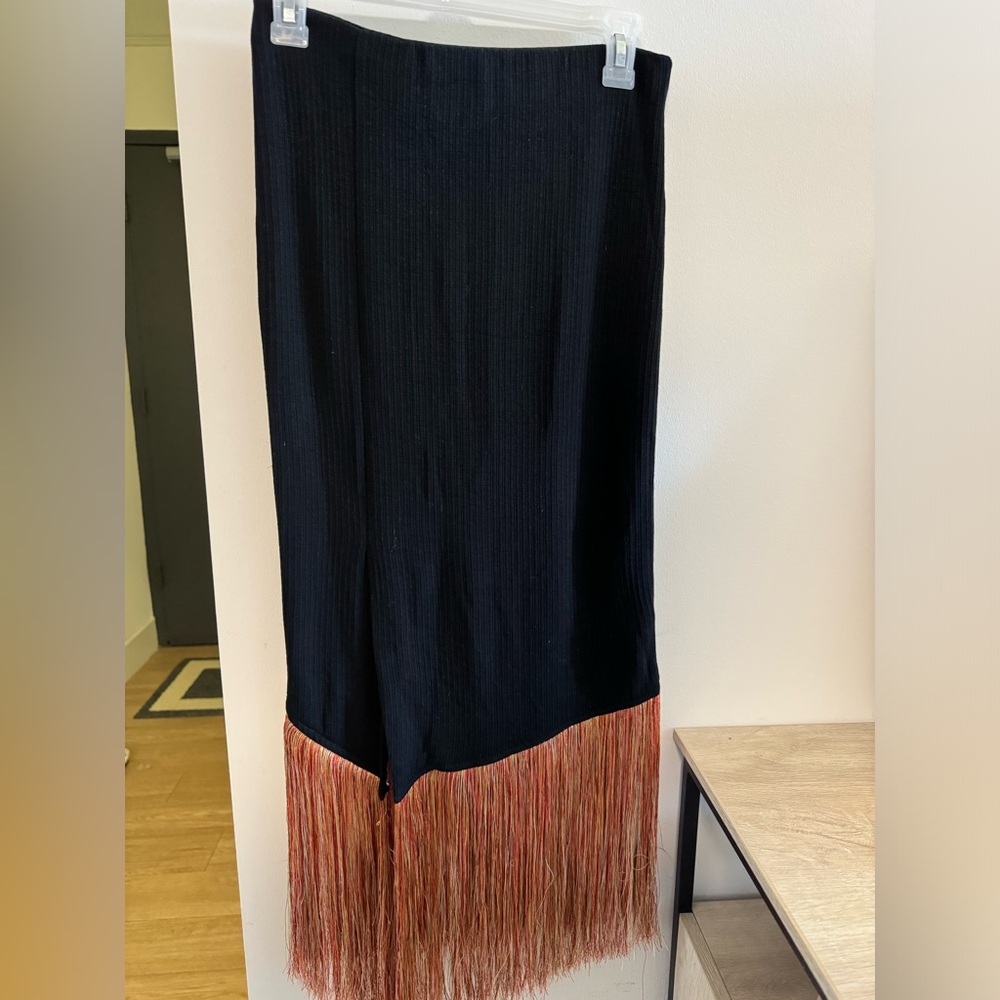 NWT Zara skirt with colorful fringe.